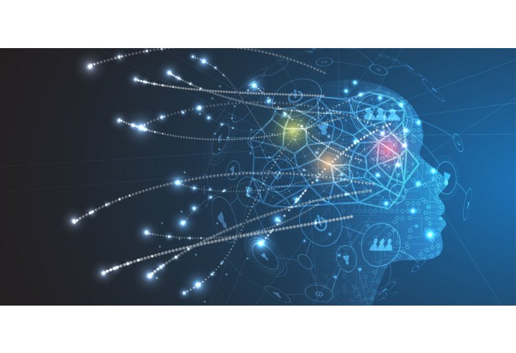 Neurociencia para entender al consumidor
